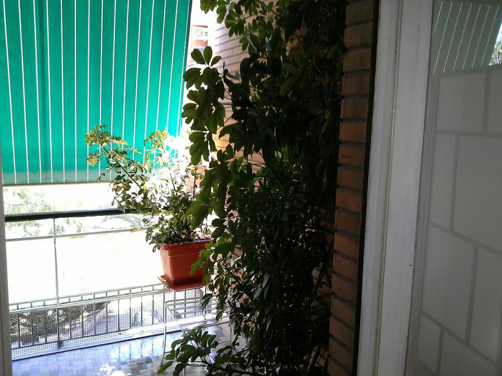 Olimpica Relais Guest House Rome Exterior photo
